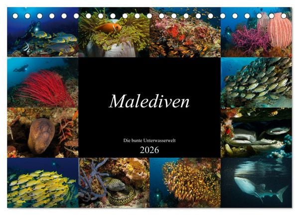 Produktbild: Malediven - Die bunte Unterwasserwelt (Tischkalender 2026 DIN A5 quer), CALVENDO Monatskalender
