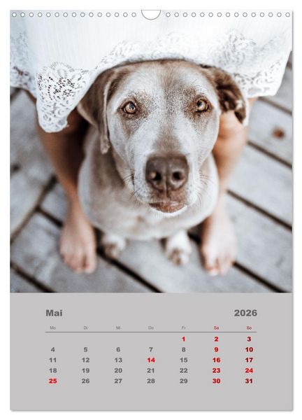 Produktbild: Du und ich - Dreamteamfotografie - Mensch und Hund (Wandkalender 2026 DIN A3 hoch), CALVENDO Monatskalender