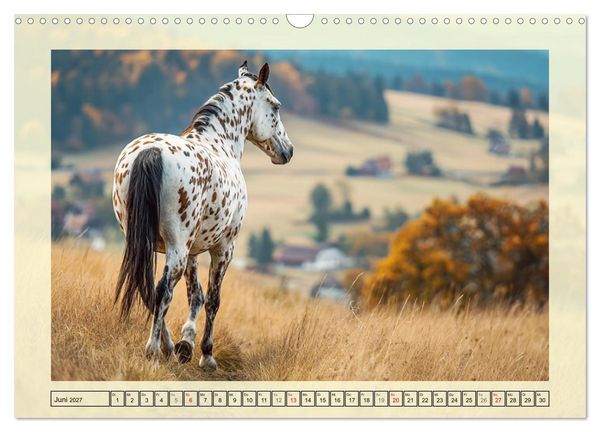Produktbild: Knabstrupper Poesie. Gescheckte Eleganz im Farmsommer (Wandkalender 2027 DIN A3 quer), CALVENDO Monatskalender