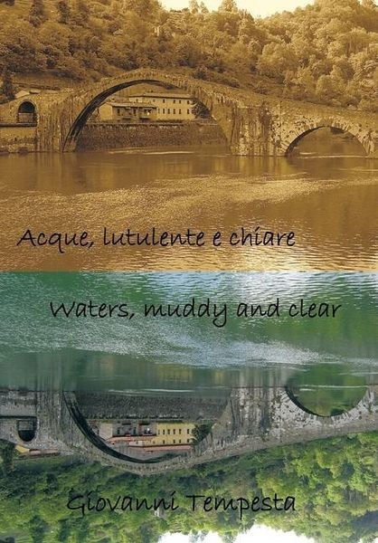 Produktbild: Acque, Lutulente E Chiare Waters, Muddy and Clear