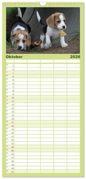 Produktbild: Familienplaner 2026 - DER BEAGLEige TERMINPLANER mit 5 Spalten (Wandkalender, 21 x 45 cm) CALVENDO