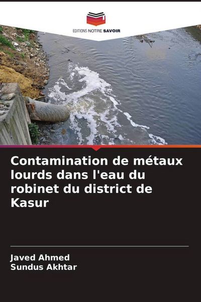 Produktbild: Contamination de m&eacute;taux lourds dans l'eau du robinet du district de Kasur