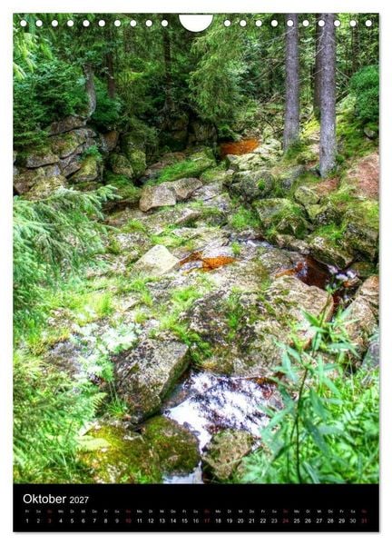 Produktbild: Typisch Harz (Wandkalender 2027 DIN A4 hoch), CALVENDO Monatskalender