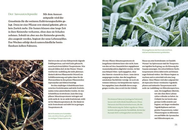 Produktbild: Bl&uuml;tenreich &ndash; Schnittblumen mit Herz und Hand vermehren