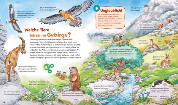 Produktbild: BOOKii&reg; WAS IST WAS Junior Erlebe die Natur!
