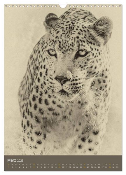 Produktbild: Afrikas Tierwelt - Sepia-Art (Wandkalender 2026 DIN A3 hoch), CALVENDO Monatskalender