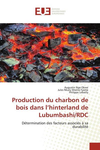 Produktbild: Production du charbon de bois dans l'hinterland de Lubumbashi/RDC