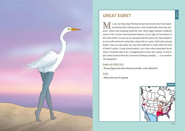 Produktbild: Extremely Accurate Birds