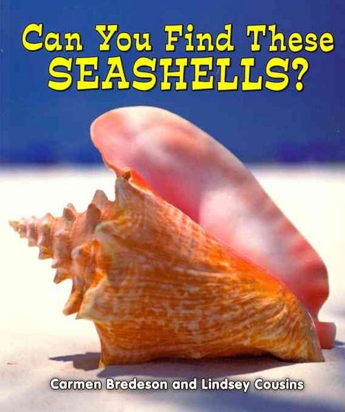 Produktbild: Can You Find These Seashells?