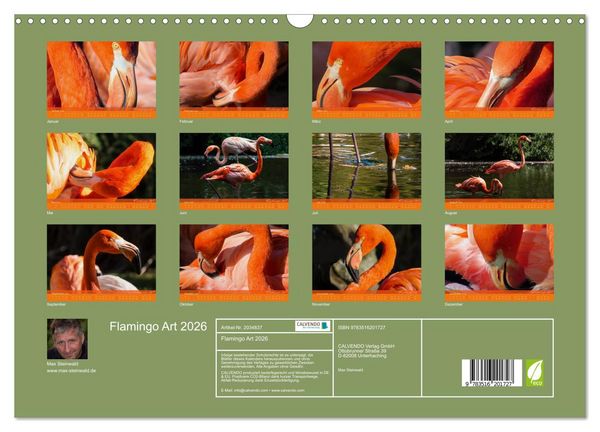 Produktbild: Flamingo Art 2026 (Wandkalender 2026 DIN A3 quer), CALVENDO Monatskalender