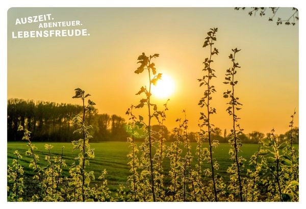 Produktbild: 52 kleine & gro&szlig;e Eskapaden in und um D&uuml;sseldorf