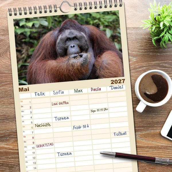 Produktbild: Familienplaner 2027 - Waldmenschen - Orang Utans auf Borneo mit 5 Spalten (Wandkalender, 21 x 45 cm) CALVENDO