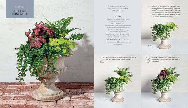 Produktbild: The Container Garden Recipe Book