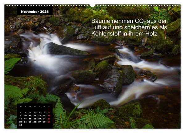 Produktbild: Schlaumeier-Kalender - Thema: Wald (Wandkalender 2026 DIN A2 quer), CALVENDO Monatskalender