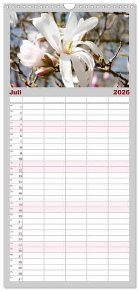 Produktbild: Familienplaner 2026 - Magnolien Ein Bl&uuml;tenrausch mit 5 Spalten (Wandkalender, 21 x 45 cm) CALVENDO