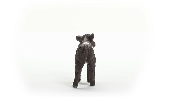 Produktbild: schleich&reg; Farm World Galloway Kalb 5,7cm