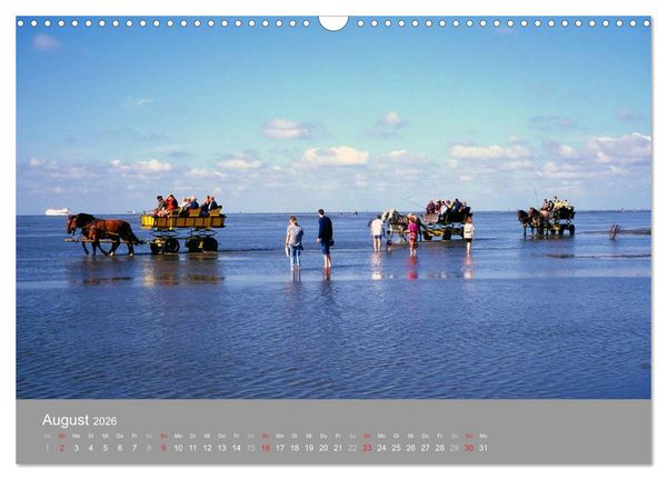 Produktbild: Blick auf die Nord-und Ostsee (Wandkalender 2026 DIN A3 quer), CALVENDO Monatskalender