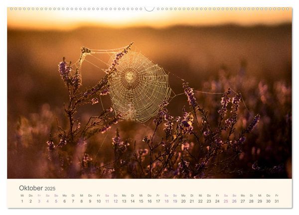 Mehlinger Heide (Wandkalender 2025 DIN A2 quer), CALVENDO Monatskalender