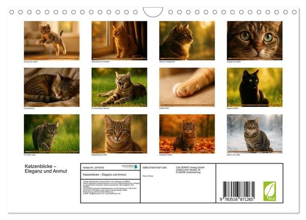 Produktbild: Katzenblicke &ndash; Eleganz und Anmut (Wandkalender 2027 DIN A4 quer), CALVENDO Monatskalender