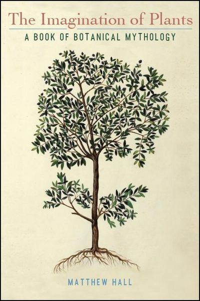Produktbild: The Imagination of Plants