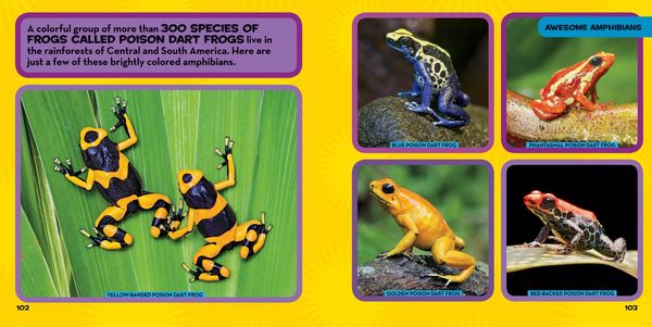Produktbild: National Geographic Little Kids First Big Book of Reptiles and Amphibians