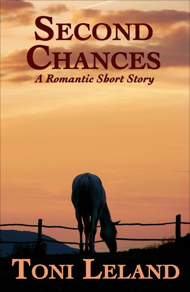 Produktbild: Second Chances - a romantic short story