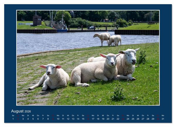 Produktbild: Dangast. Impressionen eines besonderen Ortes. (Wandkalender 2026 DIN A4 quer), CALVENDO Monatskalender