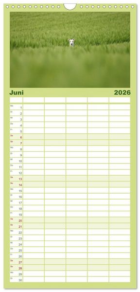 Produktbild: Familienplaner 2026 - Der Windhundekalender mit 5 Spalten (Wandkalender, 21 x 45 cm) CALVENDO