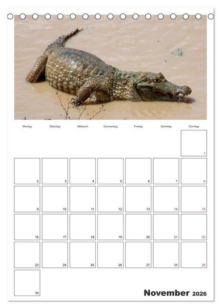 Produktbild: Venezuela - Land der Kontraste (Tischkalender 2026 DIN A5 hoch), CALVENDO Monatskalender