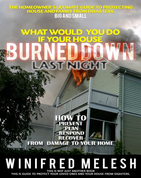 Produktbild: What Would You Do If Your House Burned Down Last Night