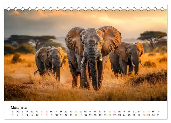 Produktbild: Elefanten - Riesen der Wildnis (Tischkalender 2026 DIN A5 quer), CALVENDO Monatskalender