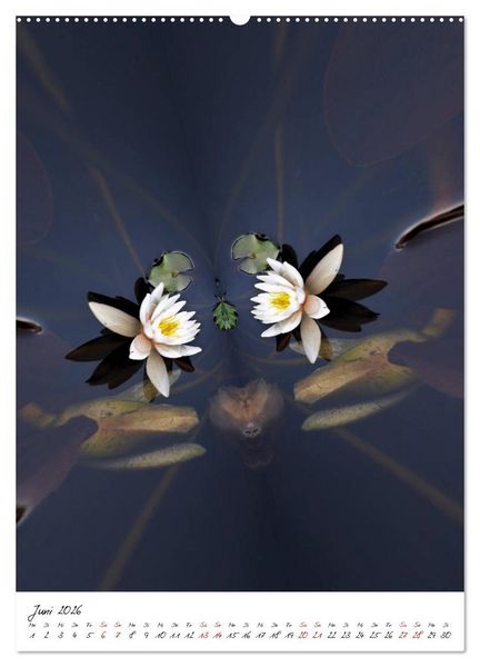 Produktbild: Durchschnittlich - Verzauberte Flora (Wandkalender 2026 DIN A2 hoch), CALVENDO Monatskalender
