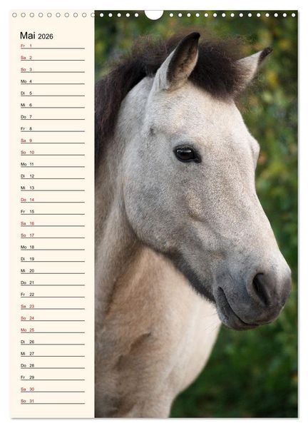 Produktbild: Isl&auml;nder Geburtstagskalender (Wandkalender 2026 DIN A3 hoch), CALVENDO Monatskalender