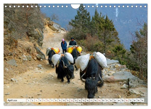 Produktbild: Traumtrekking in NEPAL (Wandkalender 2026 DIN A4 quer), CALVENDO Monatskalender