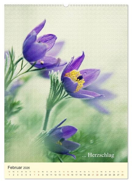 Produktbild: flowers (hochwertiger Premium Wandkalender 2026 DIN A2 hoch), Kunstdruck in Hochglanz