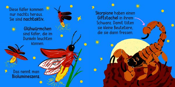 50 Wörter über die Natur - Insekten