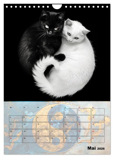 Produktbild: Sei das Yin zu meinem Yang (Wandkalender 2026 DIN A4 hoch), CALVENDO Monatskalender