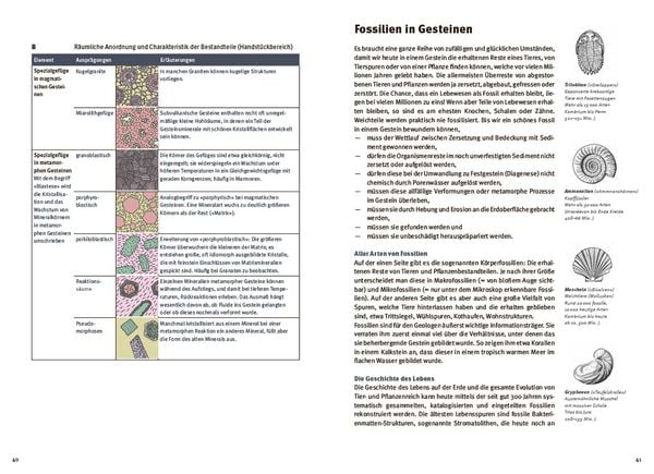 Produktbild: Gesteine einfach bestimmen