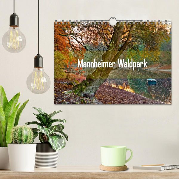 Produktbild: Mannheimer Waldpark (Wandkalender 2026 DIN A4 quer), CALVENDO Monatskalender