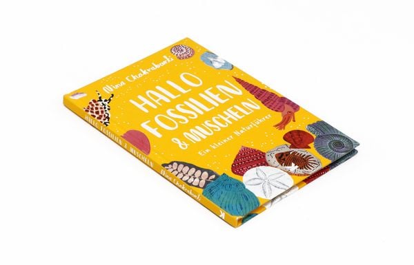 Produktbild: Hallo Fossilien & Muscheln