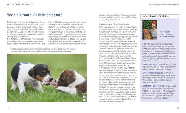 Produktbild: BARF f&uuml;r Hunde