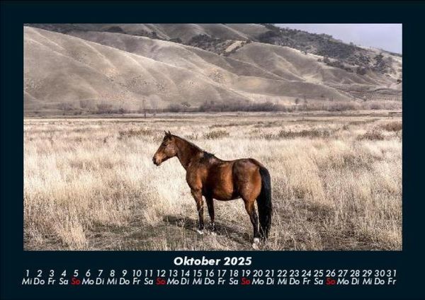 Produktbild: Die Welt der Pferde 2025 Fotokalender DIN A5