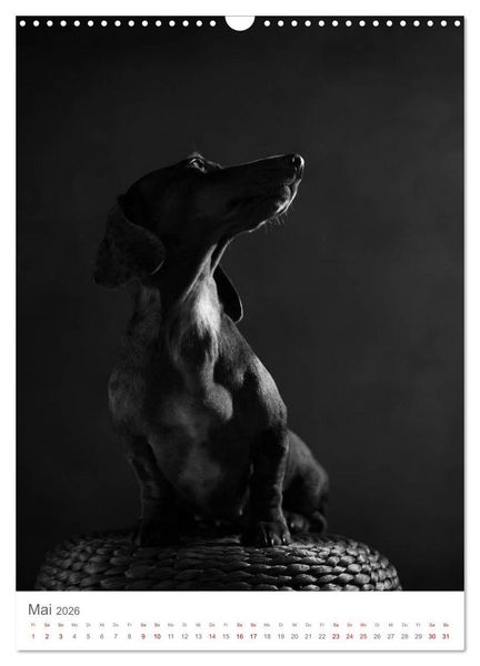 Produktbild: Fine Art Hundeportraits (Wandkalender 2026 DIN A3 hoch), CALVENDO Monatskalender