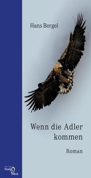 Produktbild: Wenn die Adler kommen