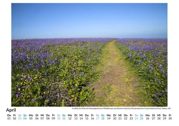 Produktbild: Coast Path in Wales