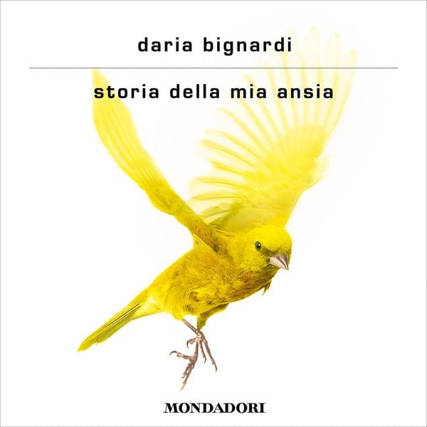 Produktbild: Storia della mia ansia