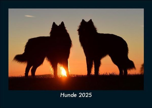 Produktbild: Hunde 2025 Fotokalender DIN A5