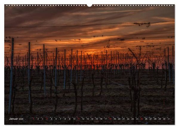 Produktbild: Weinland Franken (Wandkalender 2026 DIN A2 quer), CALVENDO Monatskalender