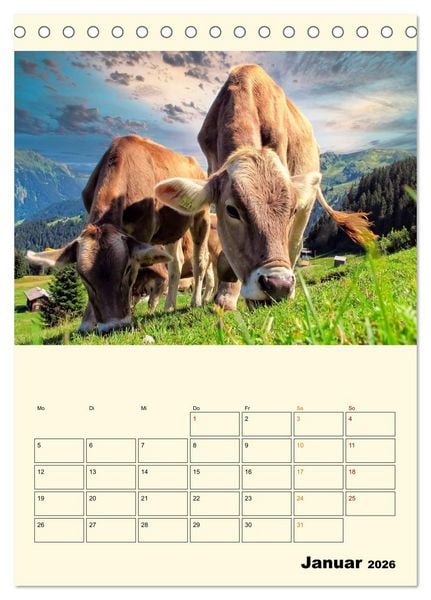 Produktbild: Gl&uuml;ckliche Bergk&uuml;he (Tischkalender 2026 DIN A5 hoch), CALVENDO Monatskalender