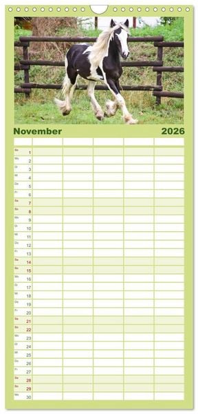 Produktbild: Familienplaner 2026 - Irish Tinker mit 5 Spalten (Wandkalender, 21 x 45 cm) CALVENDO